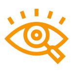 Vision